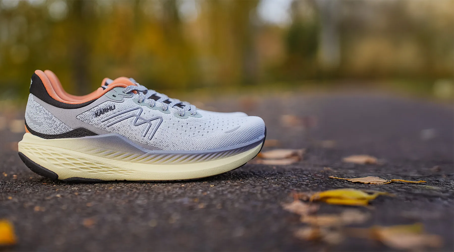 Karhu-Mestari-1.5-m